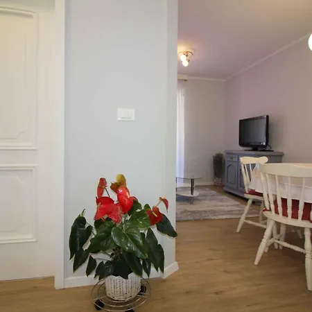 Apartman In Porec/istrien 10446 Poreč
