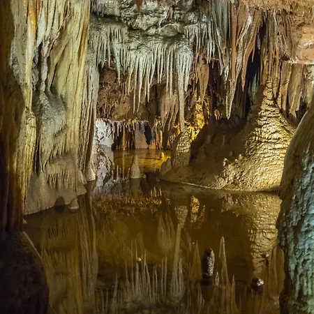 Apartamento In - Istrien 10446