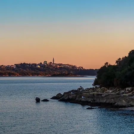 In - Istrien 10446 * Poreč