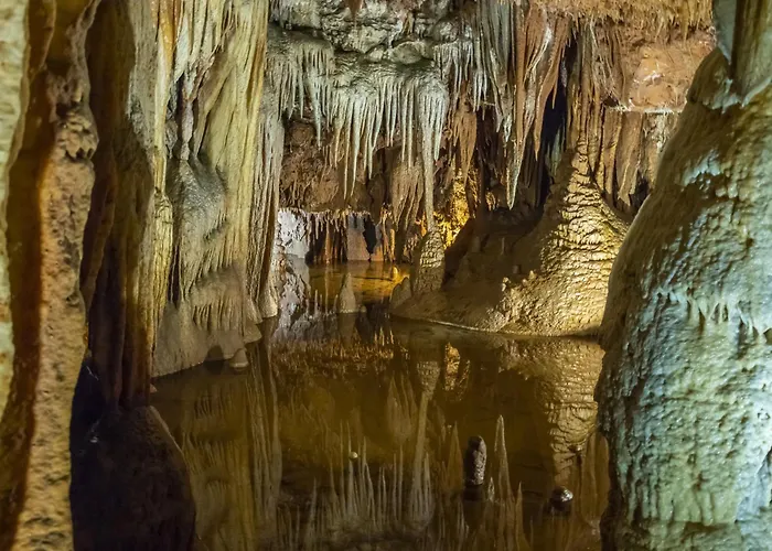 Apartman In - Istrien 10446